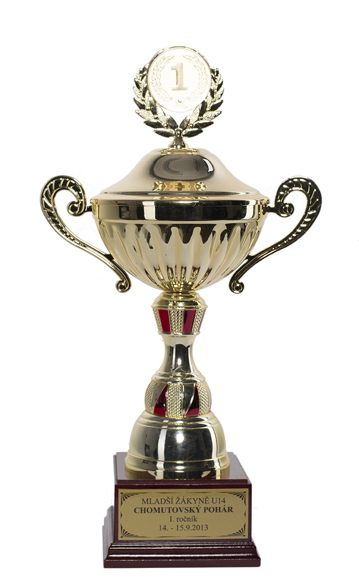 U14 Chomutovský pohár 2013 / 1.místo