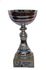 U12 Festival 2019 / 2.místo