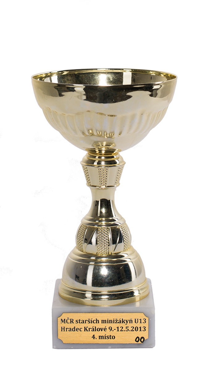 U13 MČR 2013