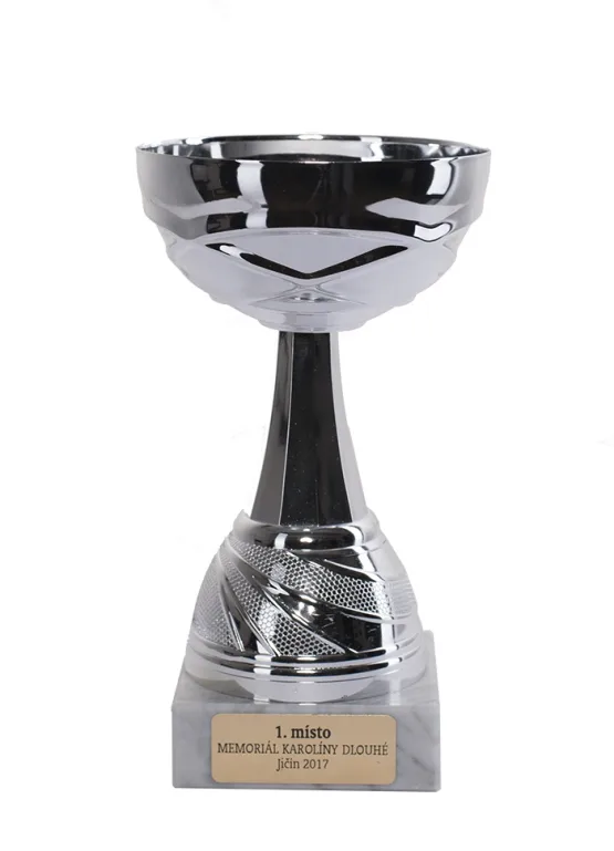 U11 Memoriál Karolíny Dlouhé 2017 / 1.místo