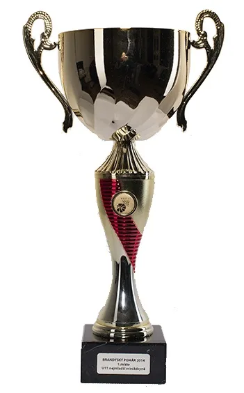 U11 Brandýs 2014 / 1.místo