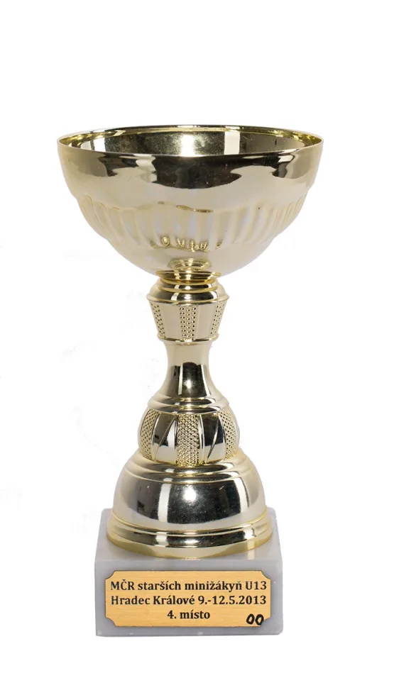 U13 MČR 2013